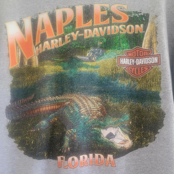 Harley-Davidson Gray T-Shirt - Picture 3 of 3